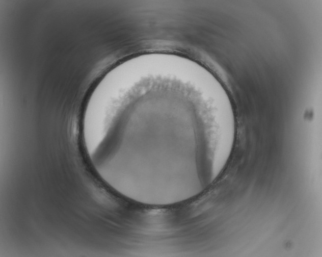 X0000116830059201001081446