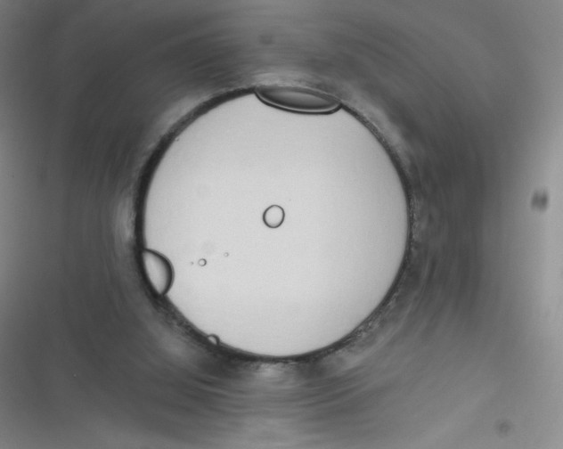 X0000116830060201001081446