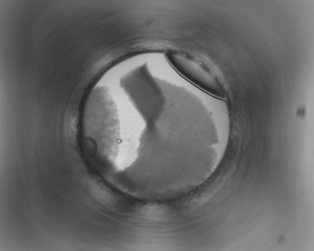 X0000116830063201001081446