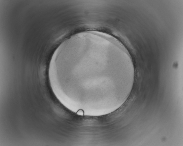 X0000116830066201001081446