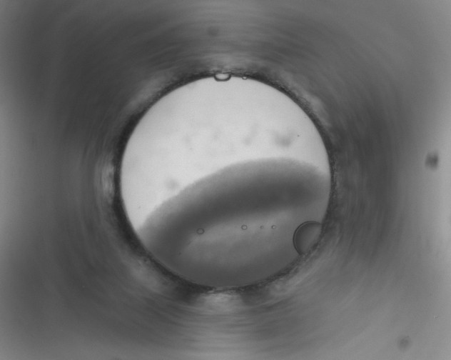 X0000116830067201001081446