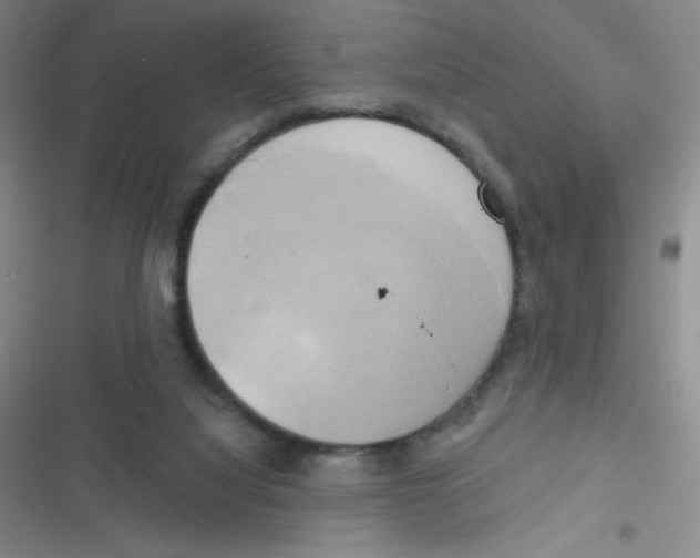 X0000116830068201001081446