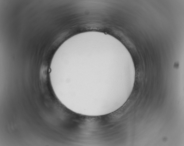 X0000116830070201001081446