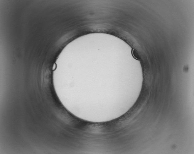 X0000116830071201001081446