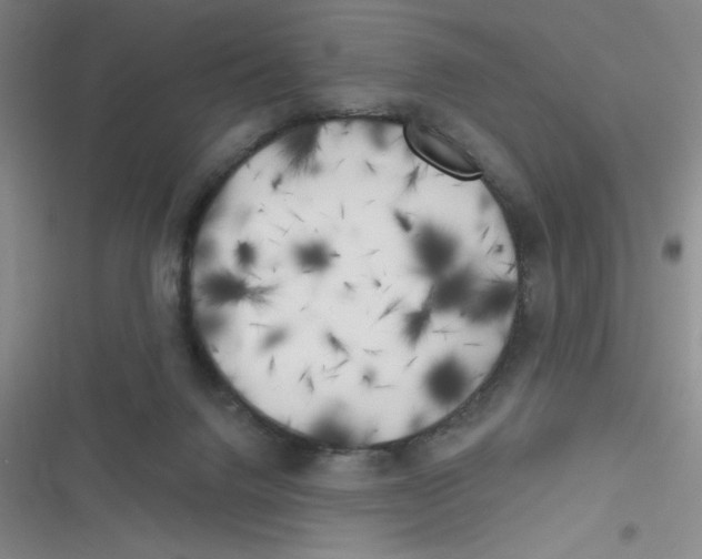 X0000116830072201001081446