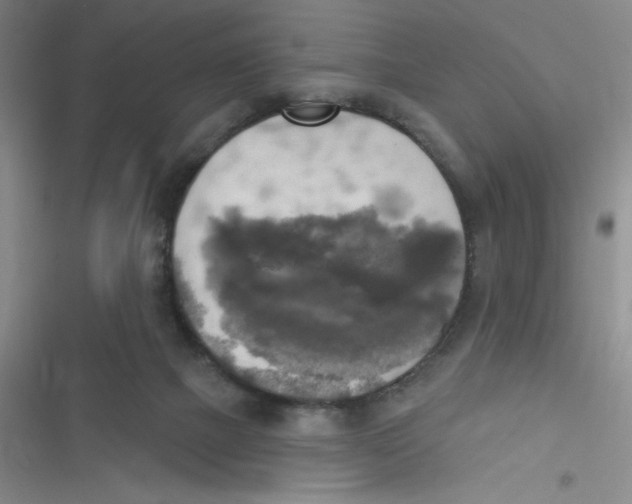 X0000116830073201001081446