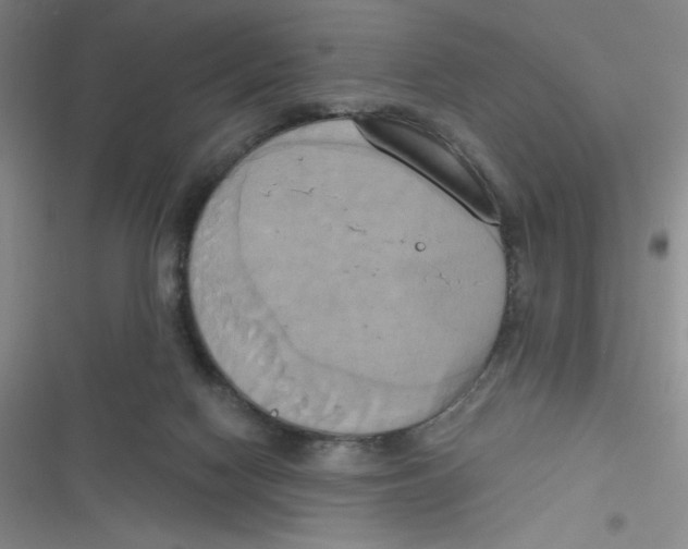 X0000116830074201001081446