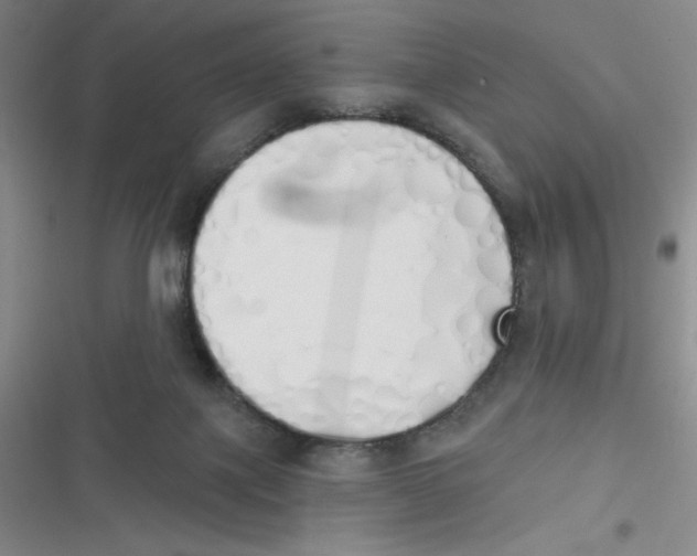 X0000116830075201001081446