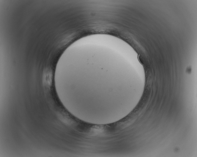 X0000116830076201001081446