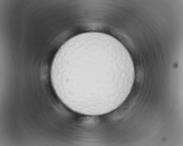 X0000116830077201001081446