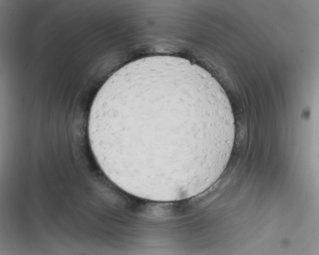 X0000116830078201001081446