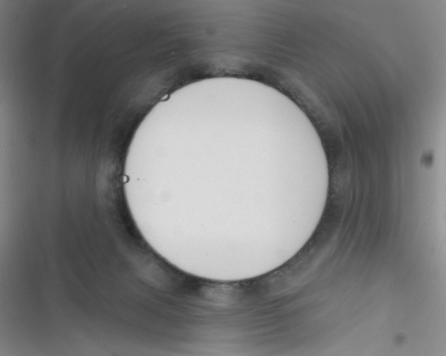 X0000116830079201001081446