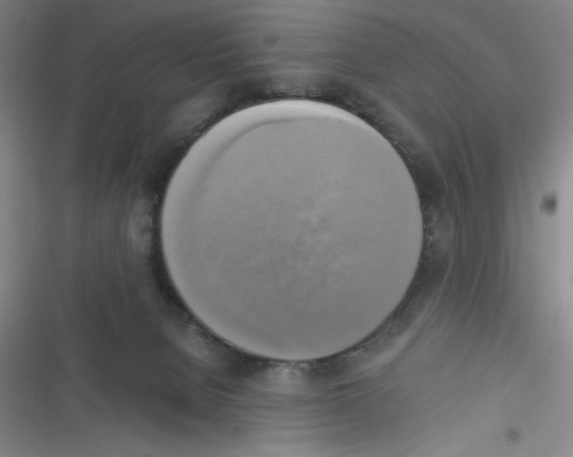 X0000116830080201001081446