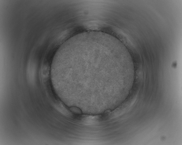 X0000116830081201001081446