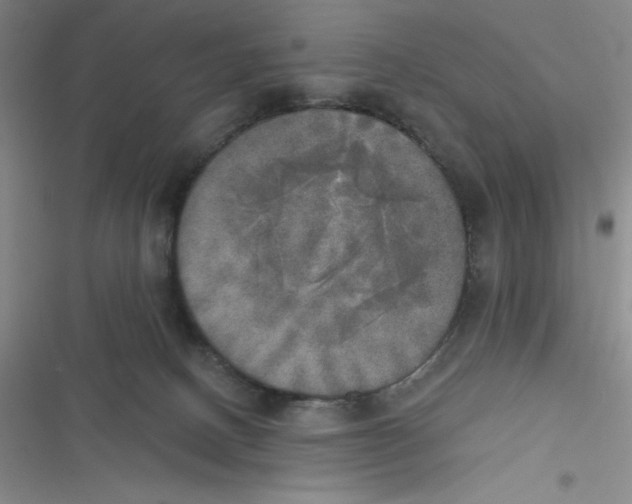 X0000116830082201001081446