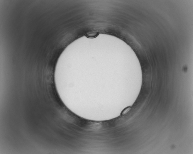 X0000116830083201001081446