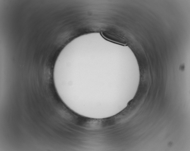 X0000116830084201001081446