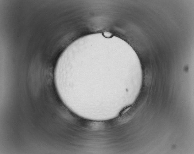 X0000116830085201001081446