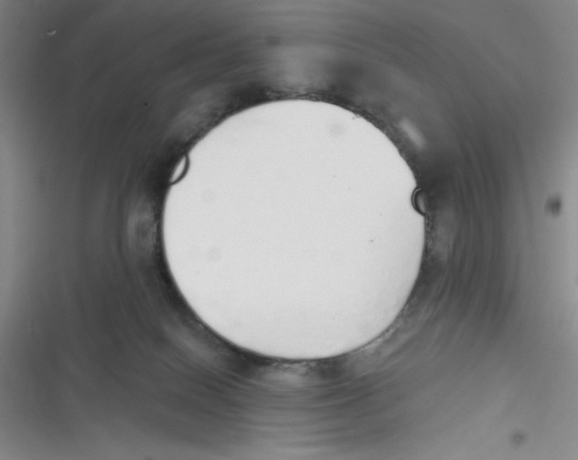 X0000116830086201001081446