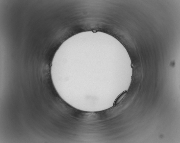 X0000116830087201001081446