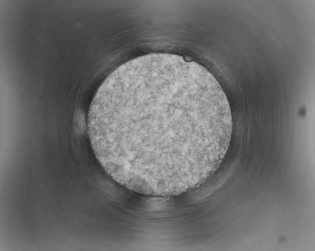 X0000116830089201001081447