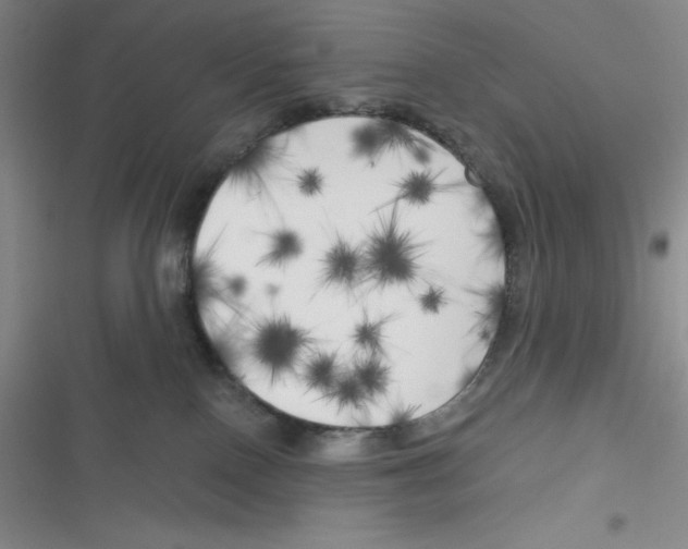 X0000116830090201001081447