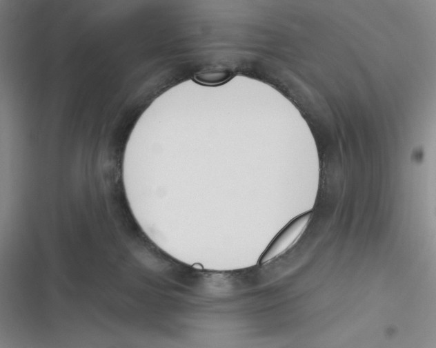 X0000116830091201001081447