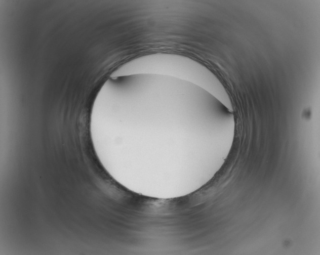 X0000116830092201001081447