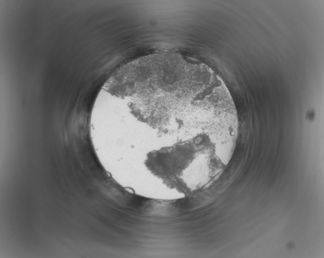 X0000116830093201001081447