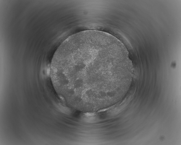 X0000116830095201001081447