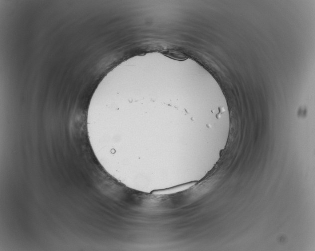 X0000116830096201001081447