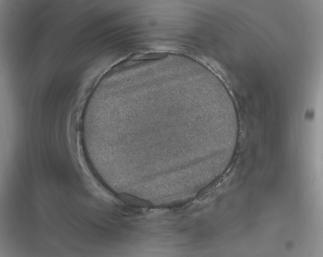 X0000116830097201001081446