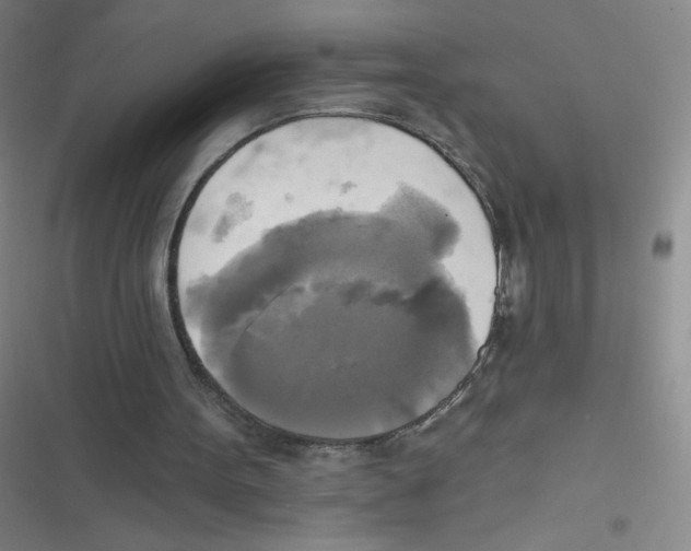 X0000116830099201001081446