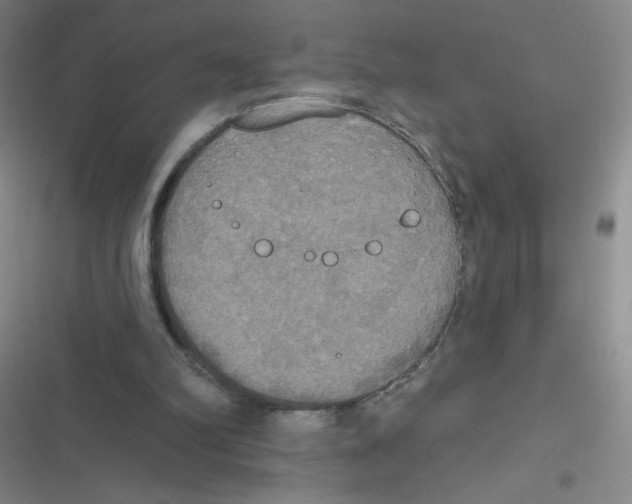 X0000116830102201001081446