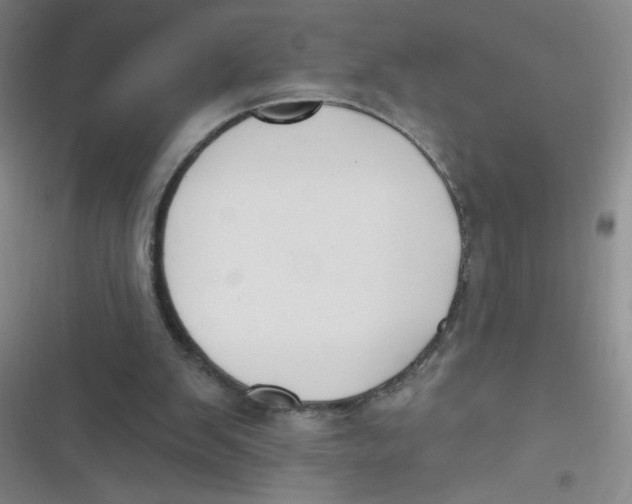 X0000116830103201001081446