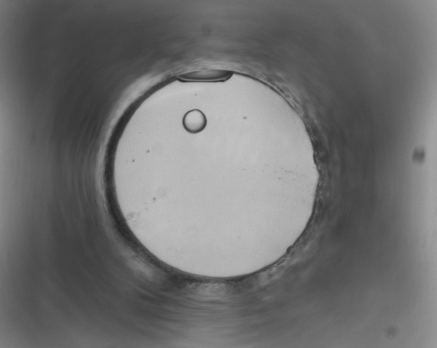 X0000116830104201001081446