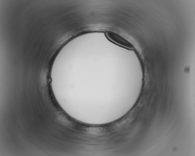 X0000116830105201001081446