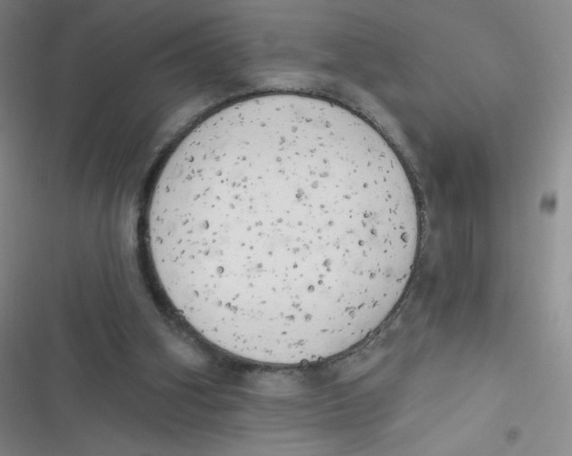 X0000116830106201001081446