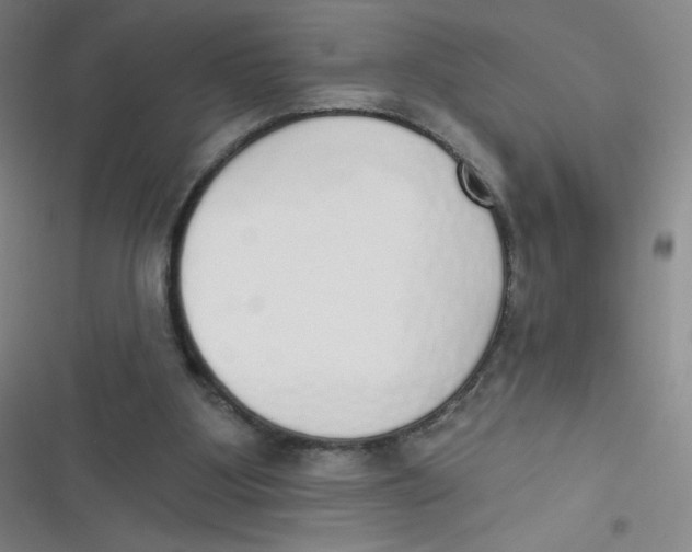 X0000116830107201001081446