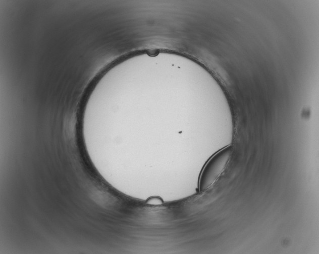 X0000116830108201001081446