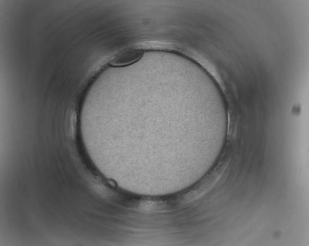 X0000116830109201001081446