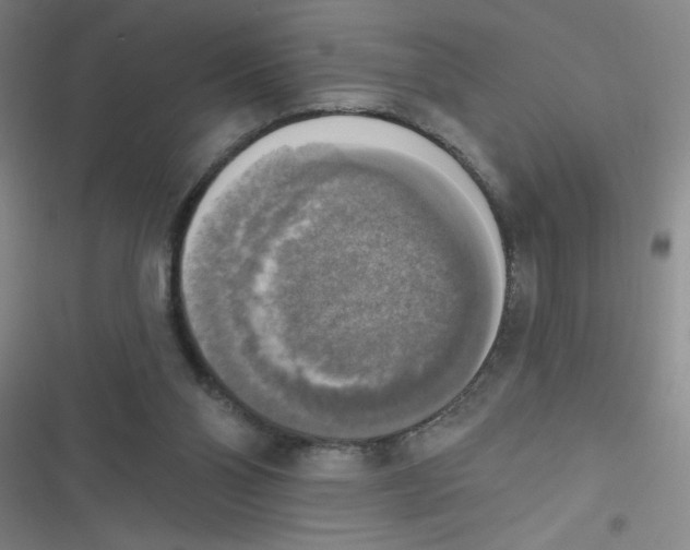 X0000116830110201001081446