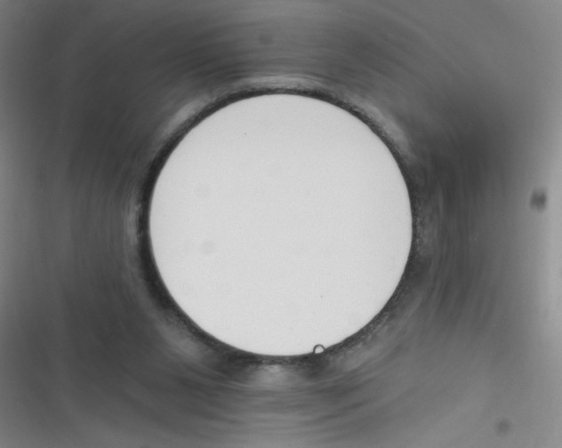 X0000116830111201001081446