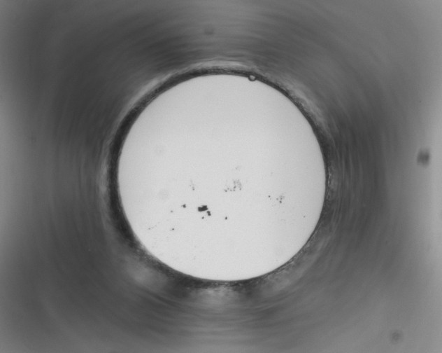 X0000116830112201001081446