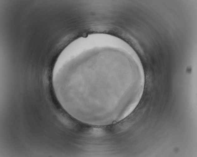 X0000116830114201001081446