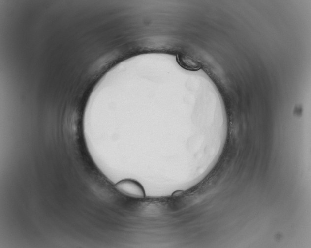 X0000116830115201001081446