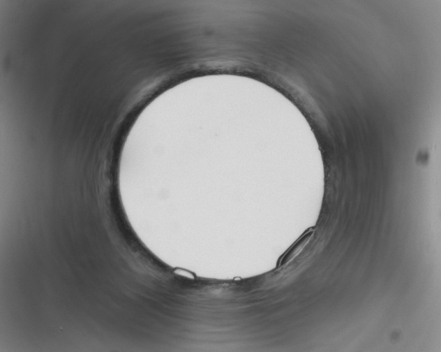 X0000116830116201001081446