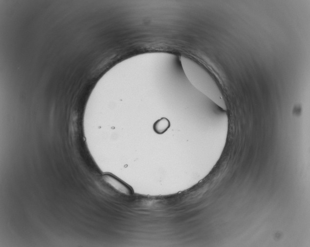 X0000116830117201001081446