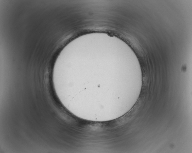 X0000116830120201001081446