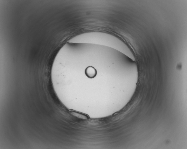 X0000116830121201001081446